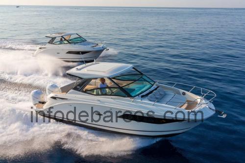 Sea Ray 320 Sundancer Outboard ficha técnica y opiniones